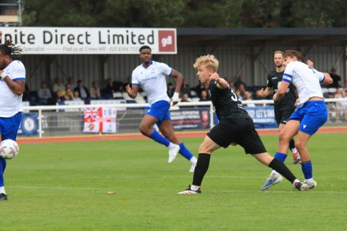 IMG 1407-Sam-Youngs-shoots