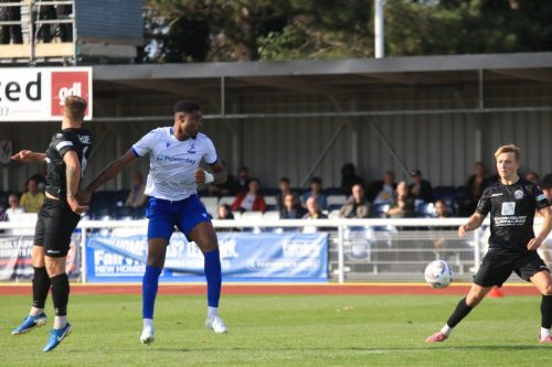 IMG 1586-L-r-Luke-Haines-Bayley-Brown-and-Reece-Fleet