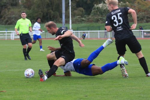 IMG 1667-L-r-Reece-Fleet-Harry-Lodovica-and-Dan-Ellison