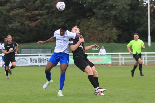 IMG 1670-Harry-Lodovica-L-and-Dan-Ellison