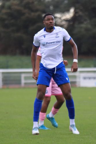 IMG 2386-Bayley-Brown