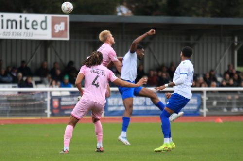 IMG 2485-Eastbournes-Freddie-Carter-challenges-Bayley-Brown