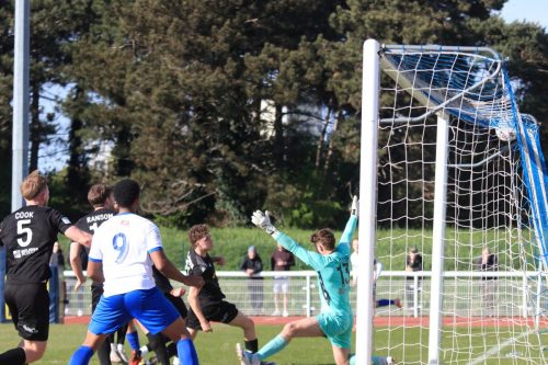 IMG 5280-Enfield-hit-the-side-netting