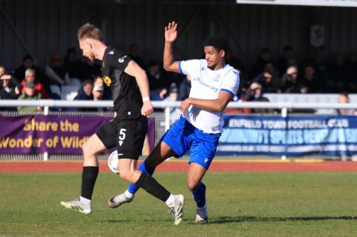 IMG 5393-Joe-Cook-L-and-Corie-Andrews