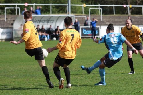 Enfields-Corey-Whitely-blue-shoots